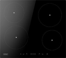 Induktionsfeld Reparatur Meißen